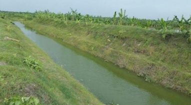 Rubber dam becomes boon for Rajshahi farmers